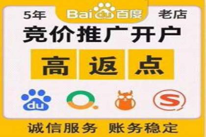 SEM代理操作技巧：成功案例揭秘